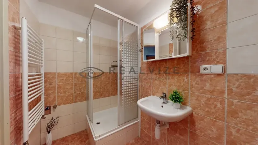 Prodej bytu 1+kk, České Budějovice, Riegrova, 35 m2