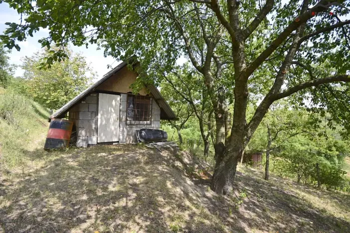 Prodej sadu/vinice, Bzenec, 2460 m2