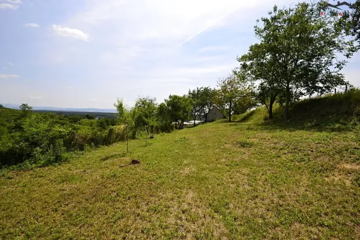 Prodej sadu/vinice, Bzenec, 2460 m2