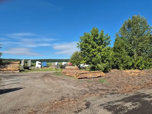 Prodej výrobních prostor, Velká Hleďsebe, K Malé Hleďsebi, 28305 m2