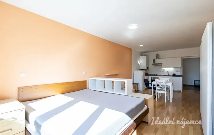 Pronájem bytu 1+kk, Brandýs nad Labem-Stará Boleslav - Brandýs nad Labem, Vrábská, 40 m2