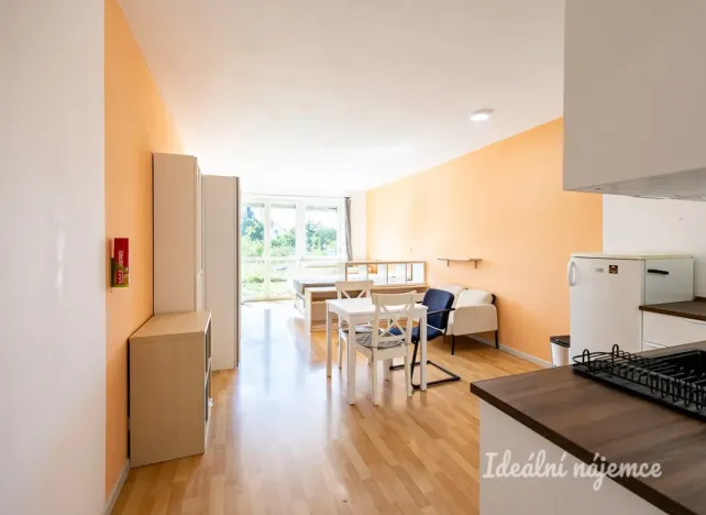 Pronájem bytu 1+kk, Brandýs nad Labem-Stará Boleslav - Brandýs nad Labem, Vrábská, 40 m2