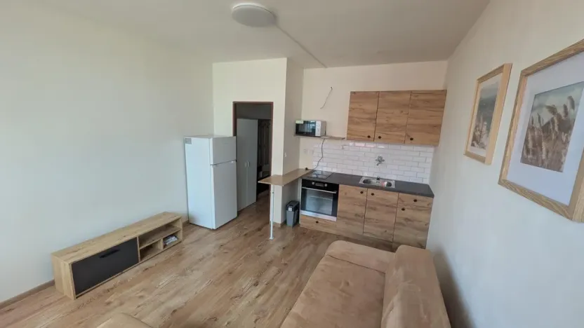 Pronájem bytu 1+kk, Most, U Věžových domů, 22 m2