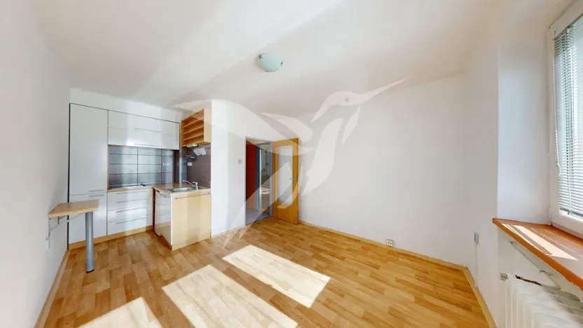Pronájem bytu 1+kk, Plzeň, Mohylová, 18 m2
