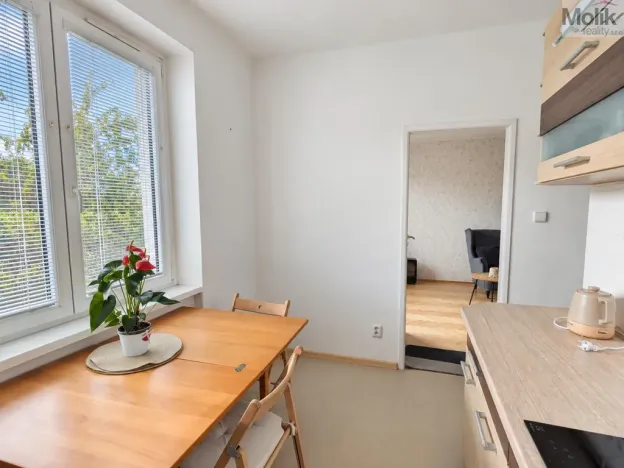 Pronájem bytu 2+1, Teplice, Josefa Suka, 49 m2