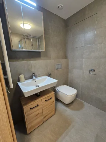 Pronájem bytu 1+kk, Praha, Hartigova, 53 m2