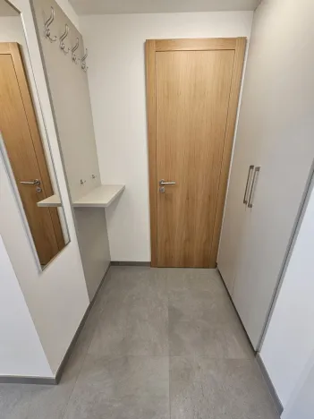 Pronájem bytu 1+kk, Praha, Hartigova, 53 m2