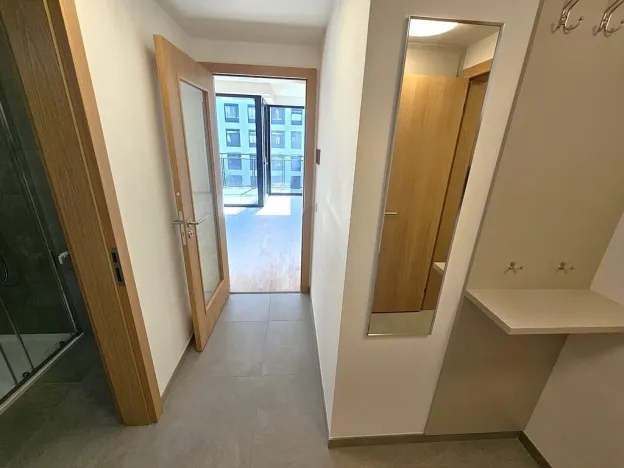 Pronájem bytu 1+kk, Praha, Hartigova, 53 m2
