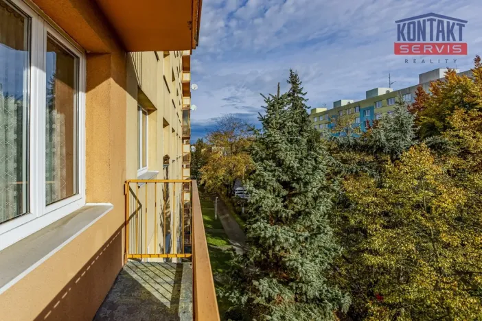 Prodej bytu 3+1, České Budějovice, Plzeňská, 66 m2