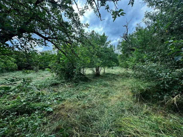 Prodej pozemku pro bydlení, Hulín - Chrášťany, 3043 m2