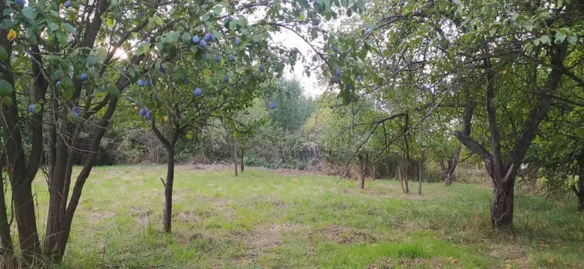 Prodej pozemku pro bydlení, Hulín - Chrášťany, 3043 m2