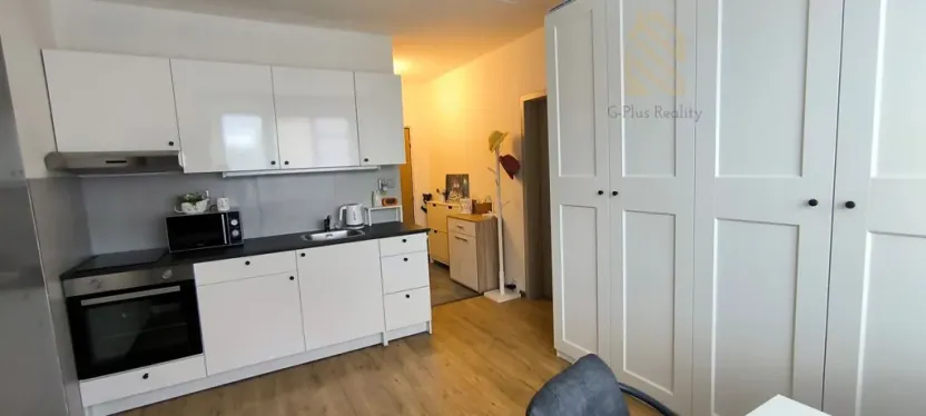 Pronájem bytu 1+1, Louny, Petra Obrovce, 35 m2