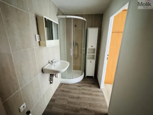 Pronájem bytu 1+1, Litvínov - Horní Litvínov, Ruská, 30 m2