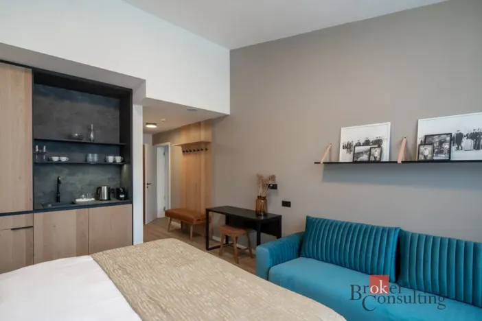 Prodej bytu 1+kk, Černý Důl, 30 m2