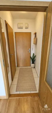 Prodej bytu 1+kk, Brno, Božetěchova, 23 m2