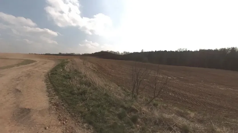 Prodej podílu pole, Zvěstovice, 423 m2
