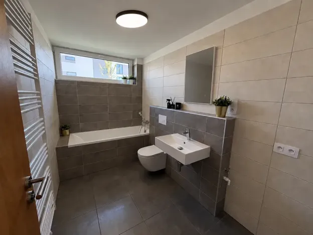 Pronájem bytu 1+kk, Dobřany, Denksteinova, 39 m2