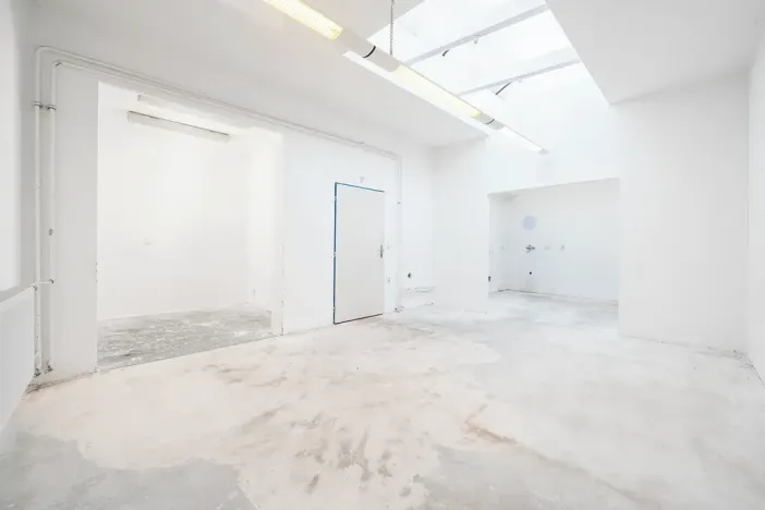 Prodej vícegeneračního domu, Brno, Malínská, 179 m2