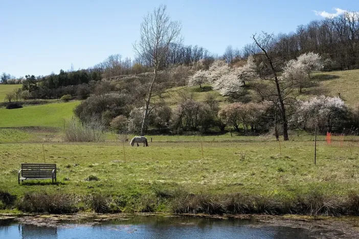 Prodej rodinného domu, Slavkov u Brna, 105 m2