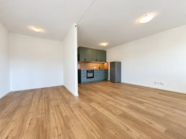 Pronájem bytu 1+kk, Praha - Podolí, Dvorecká, 43 m2
