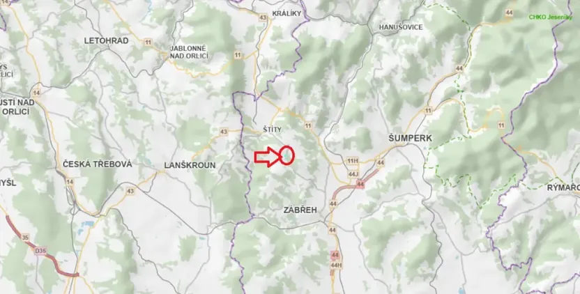 Prodej lesa, Jedlí, 10342 m2