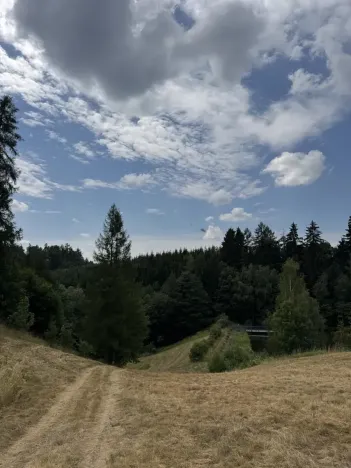 Prodej pole, Jedlí, 8401 m2