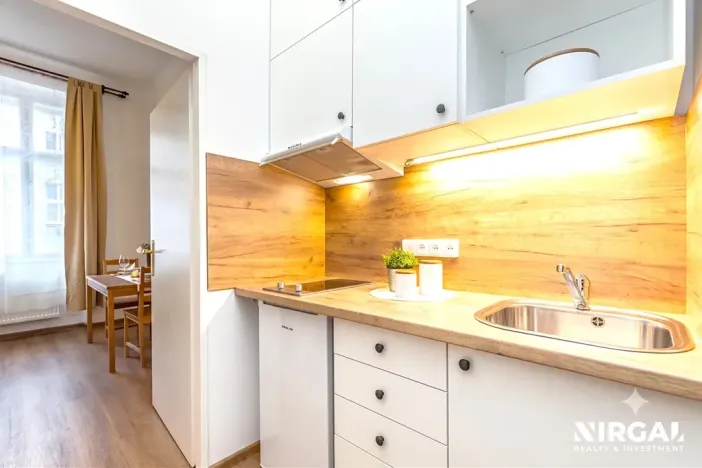 Pronájem bytu 1+kk, Praha - Vyšehrad, Vratislavova, 23 m2