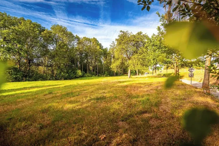 Prodej pozemku pro bydlení, Čestice, 4931 m2