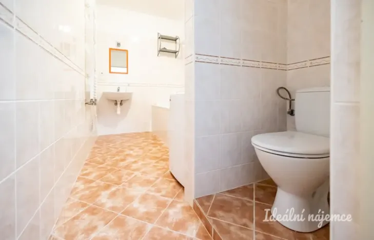 Pronájem bytu 1+kk, Šestajovice, Komenského, 47 m2