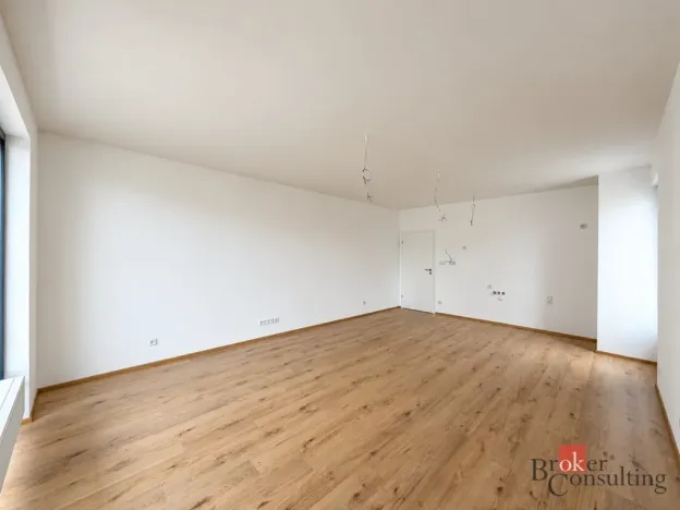 Prodej bytu 2+kk, Plzeň - Jižní Předměstí, Železná, 59 m2