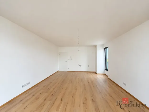 Prodej bytu 2+kk, Plzeň - Jižní Předměstí, Železná, 59 m2