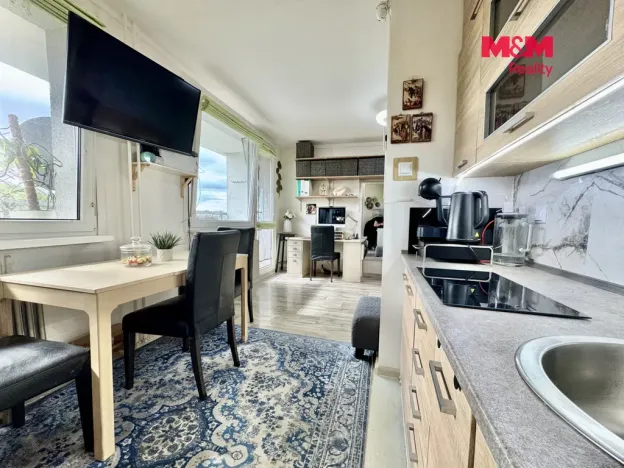 Prodej bytu 1+kk, Most, Brněnská, 34 m2