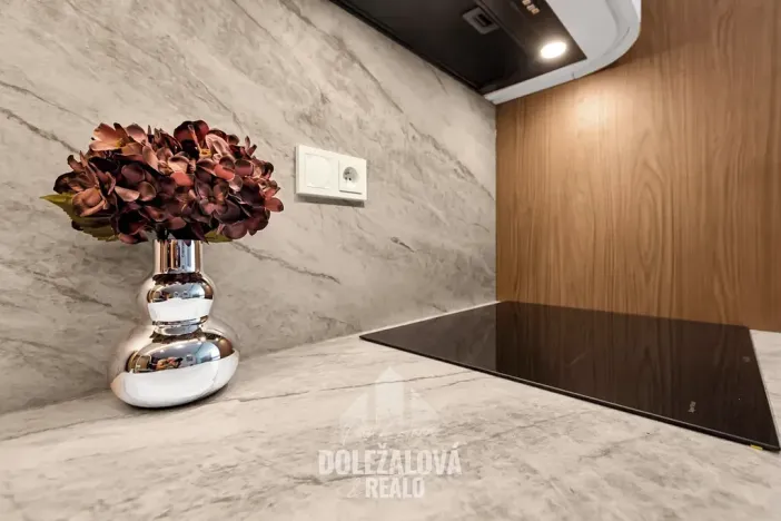 Prodej bytu 2+kk, Praha - Břevnov, Patočkova, 36 m2