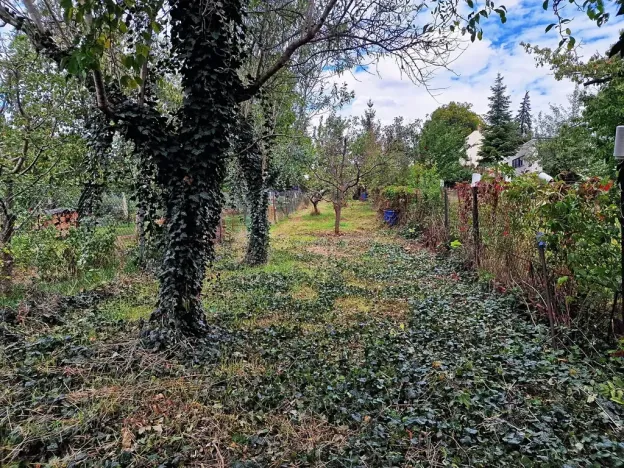 Prodej pozemku pro bydlení, Brno, Šaumannova, 533 m2