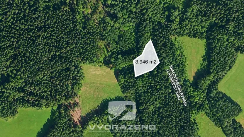 Prodej pole, Levínská Olešnice, 3946 m2