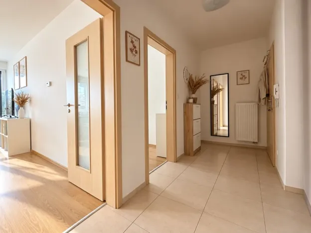 Prodej bytu 2+kk, České Budějovice - České Budějovice 3, Jírovcova, 54 m2