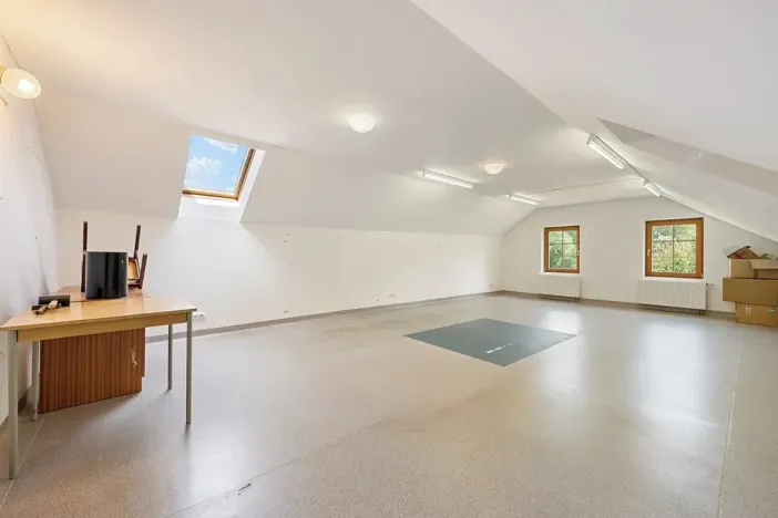Prodej vícegeneračního domu, Pelhřimov, 300 m2