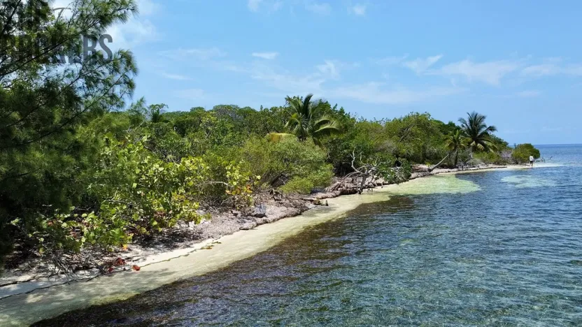 Prodej pozemku, Port Royal, José Santos Guardiola, Honduras, 161996 m2