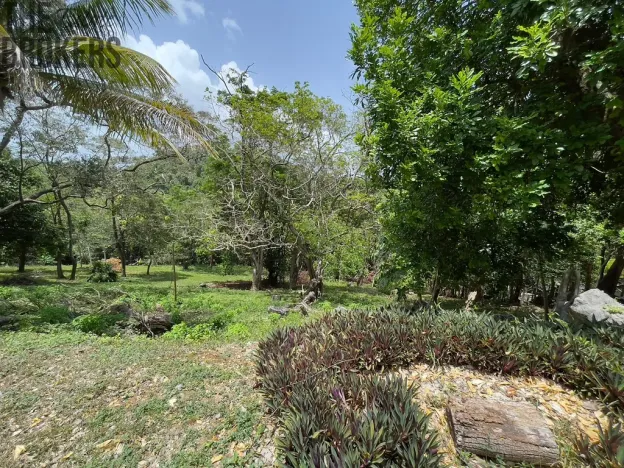 Prodej pozemku, Coxen Hole, Roatán, Honduras, 1966 m2