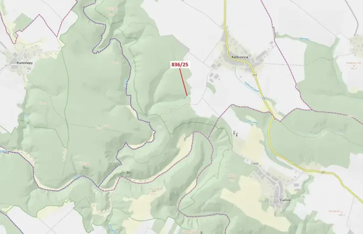Dražba lesa, Ketkovice, 907 m2