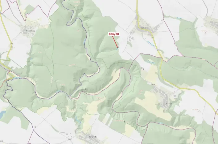 Dražba lesa, Ketkovice, 1686 m2