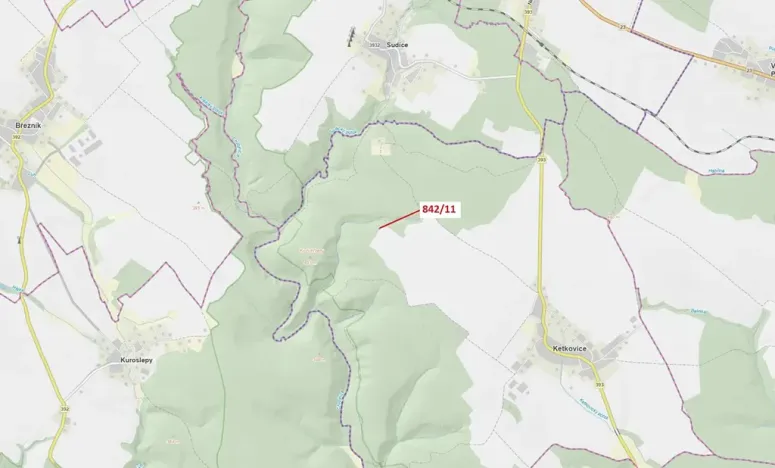 Dražba lesa, Ketkovice, 113 m2
