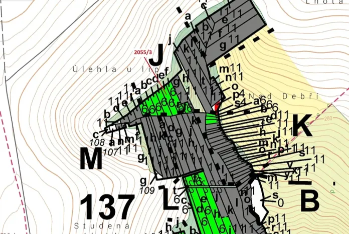 Dražba lesa, Pavlovice u Přerova, 449 m2