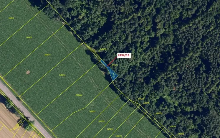 Dražba lesa, Oslavany, 113 m2