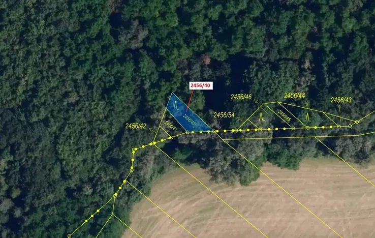 Dražba lesa, Oslavany, 80 m2