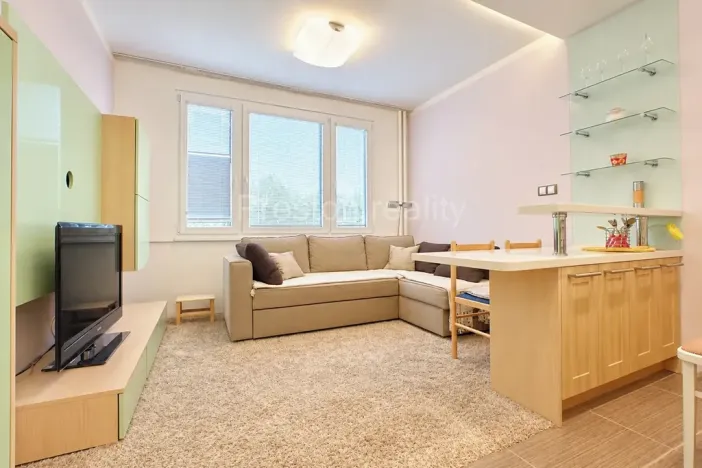 Prodej bytu 1+kk, Písek, 17. listopadu, 19 m2