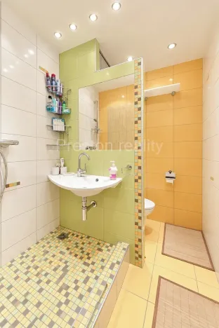 Prodej bytu 1+kk, Písek, 17. listopadu, 19 m2