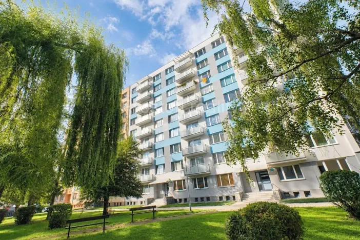 Prodej bytu 1+kk, Písek, 17. listopadu, 19 m2