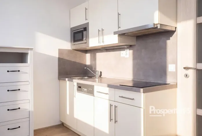 Prodej bytu 1+kk, Praha - Vysočany, Freyova, 33 m2