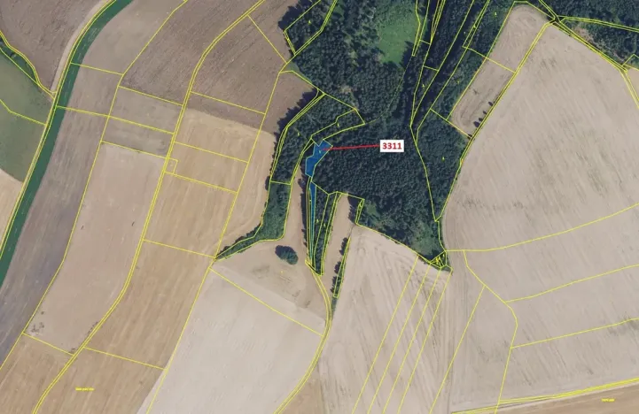 Dražba lesa, Bělá nad Svitavou, 284 m2